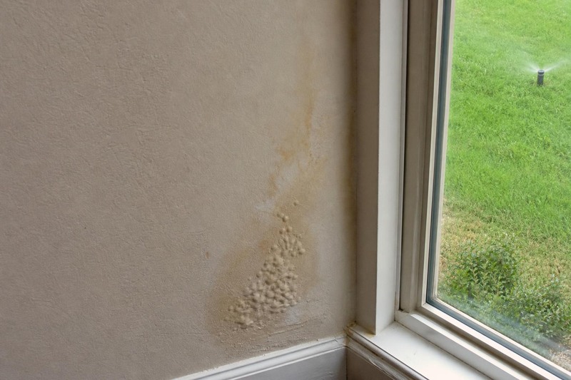 Stonebridge Ranch Water Damage: HOA vs. Homeowner Responsibility
