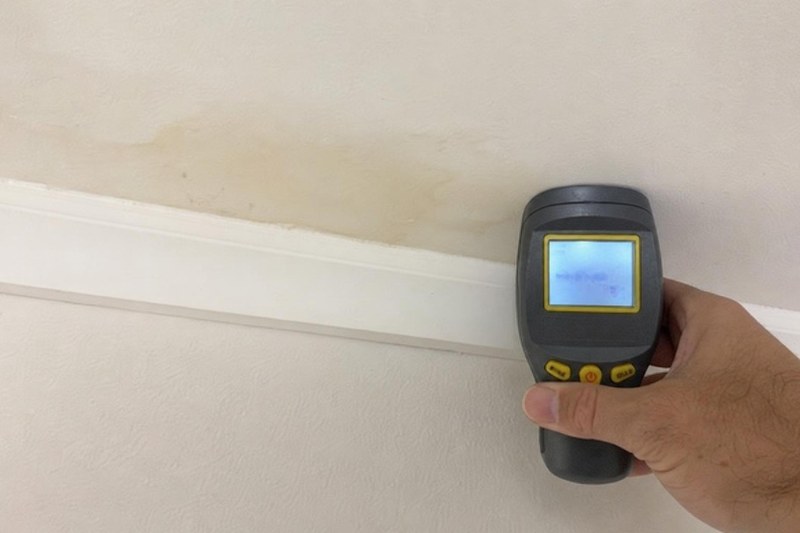 Why a Small Summer Leak Turns Into Mold in North Texas