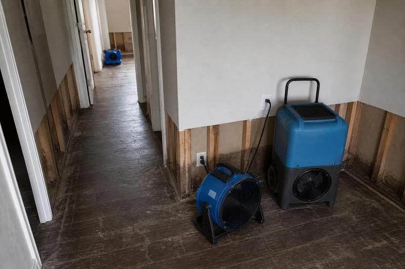 A technician working an extraction wand across a wet hardwood hallway in a Princeton home.